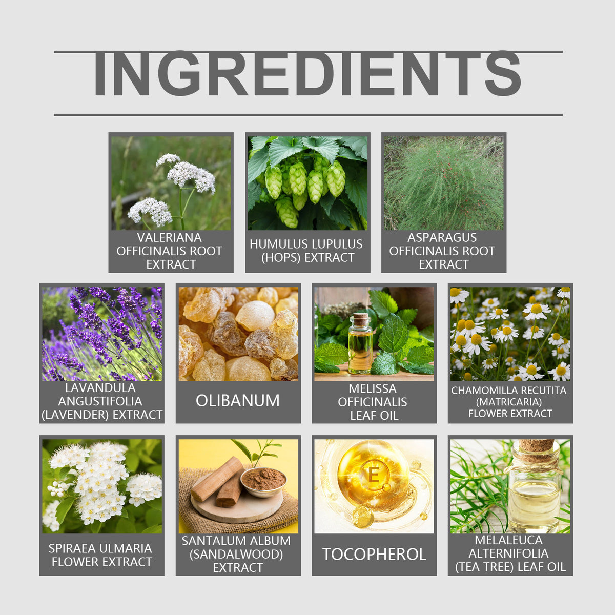 Organic Valerian Night Cream | Body Massage Moisturizing Repair Care