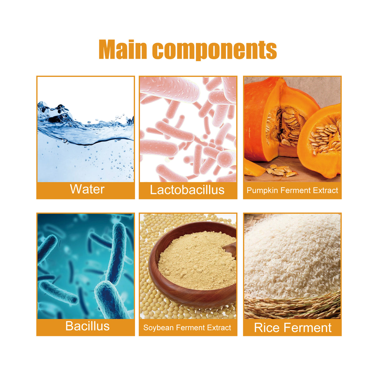 Organic Rice Cream | UV Protection & Moisturizing Sunscreen